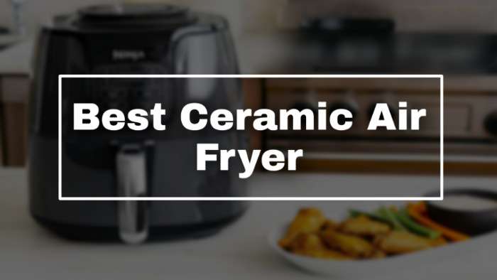 Ceramic Air Fryer